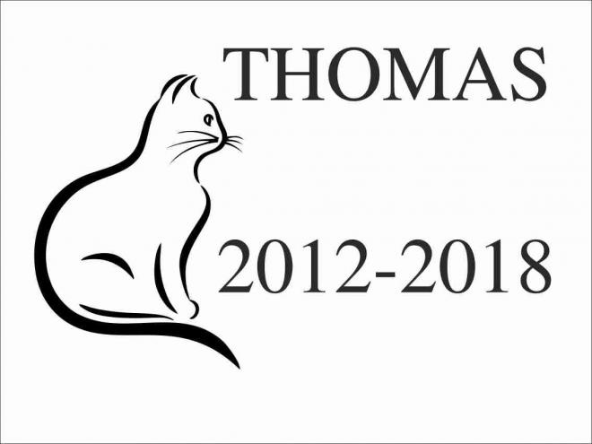 Placă comemorativă pentru animal de companie - pisică  PCM6-30x40x2 CM  - 1