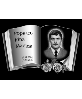 Plăci comemorative 2